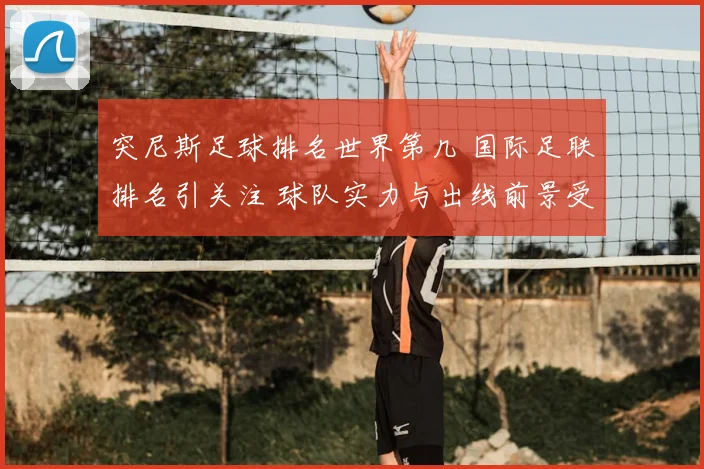 突尼斯足球排名世界第几 国际足联排名引关注 球队实力与出线前景受关注
