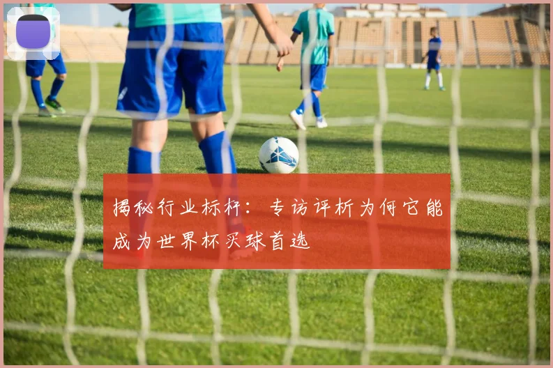 揭秘行业标杆：专访评析为何它能成为世界杯买球首选