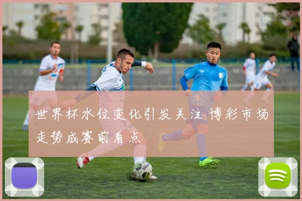 世界杯水位变化引发关注 博彩市场走势成赛前看点