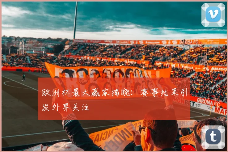 欧洲杯最大赢家揭晓：赛事结果引发外界关注