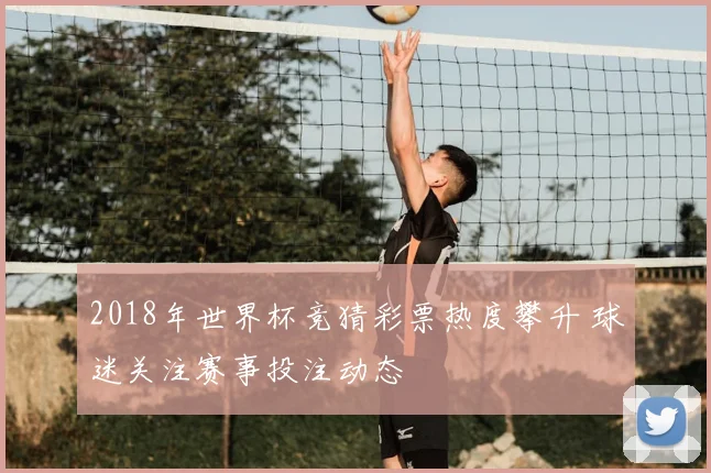2018年世界杯竞猜彩票热度攀升 球迷关注赛事投注动态