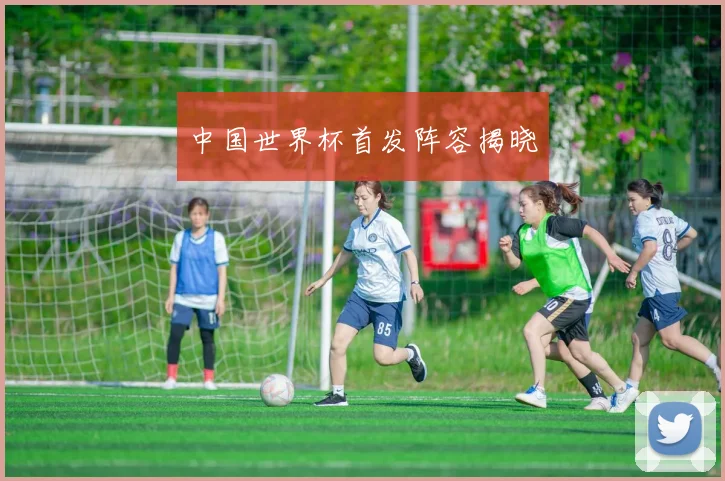 中国世界杯首发阵容揭晓